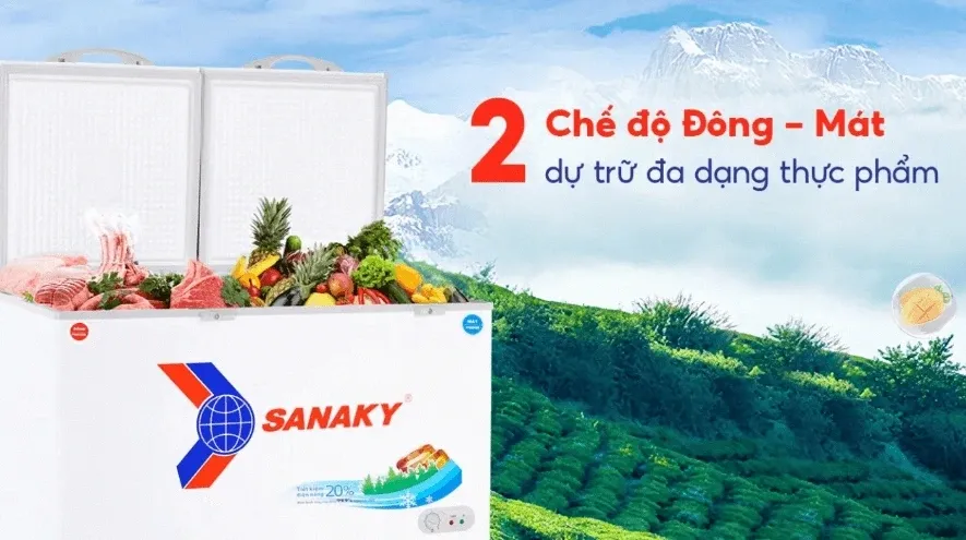 Tủ đông 2 ngăn 2 cánh Sanaky 365 lít VH-5699W1
