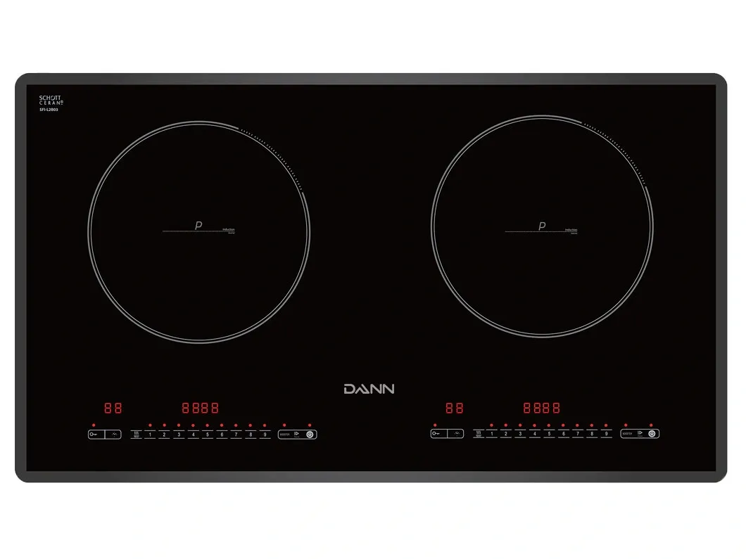 Bếp từ Dann DS-IB828 Plus