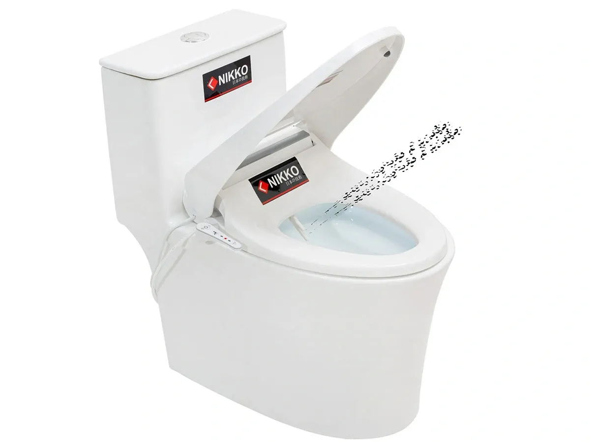 Bộ bồn cầu rửa điện BC-P39031 (NK-BHX939, P39031)