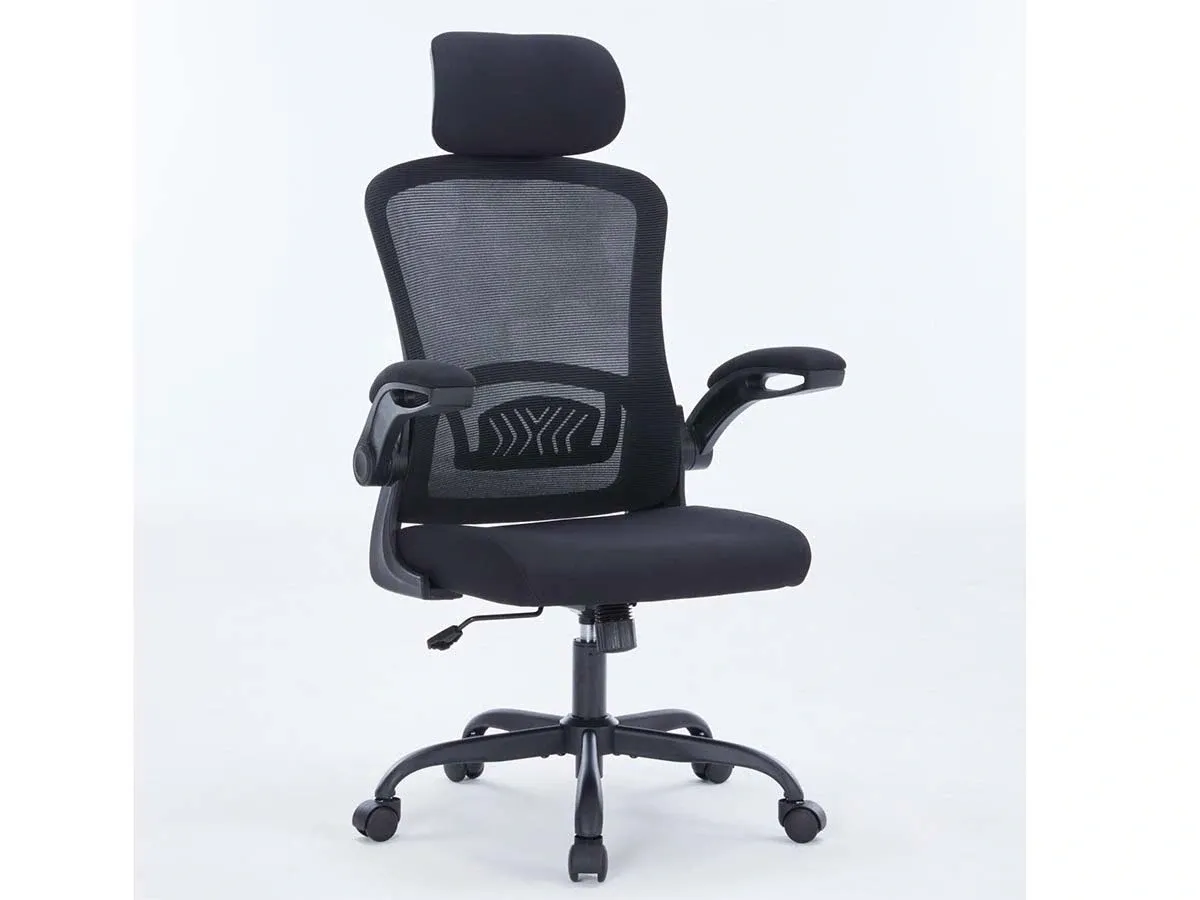 Ghế công thái học ergonomic Warrior Pawn series WEC106 Black