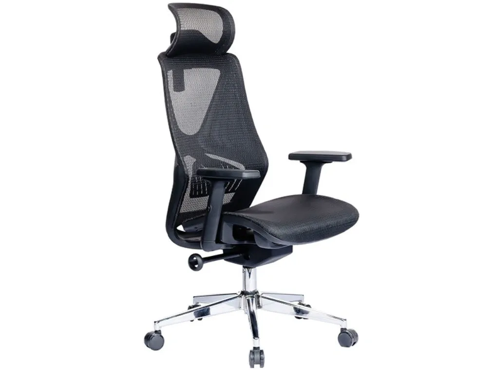 Ghế công thái học The One GLE06