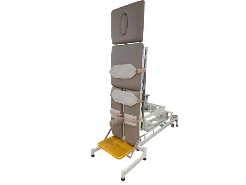 Giường xiên quay tập đứng bệnh nhân lớn có nâng cao thấp PhaNa PN36LND