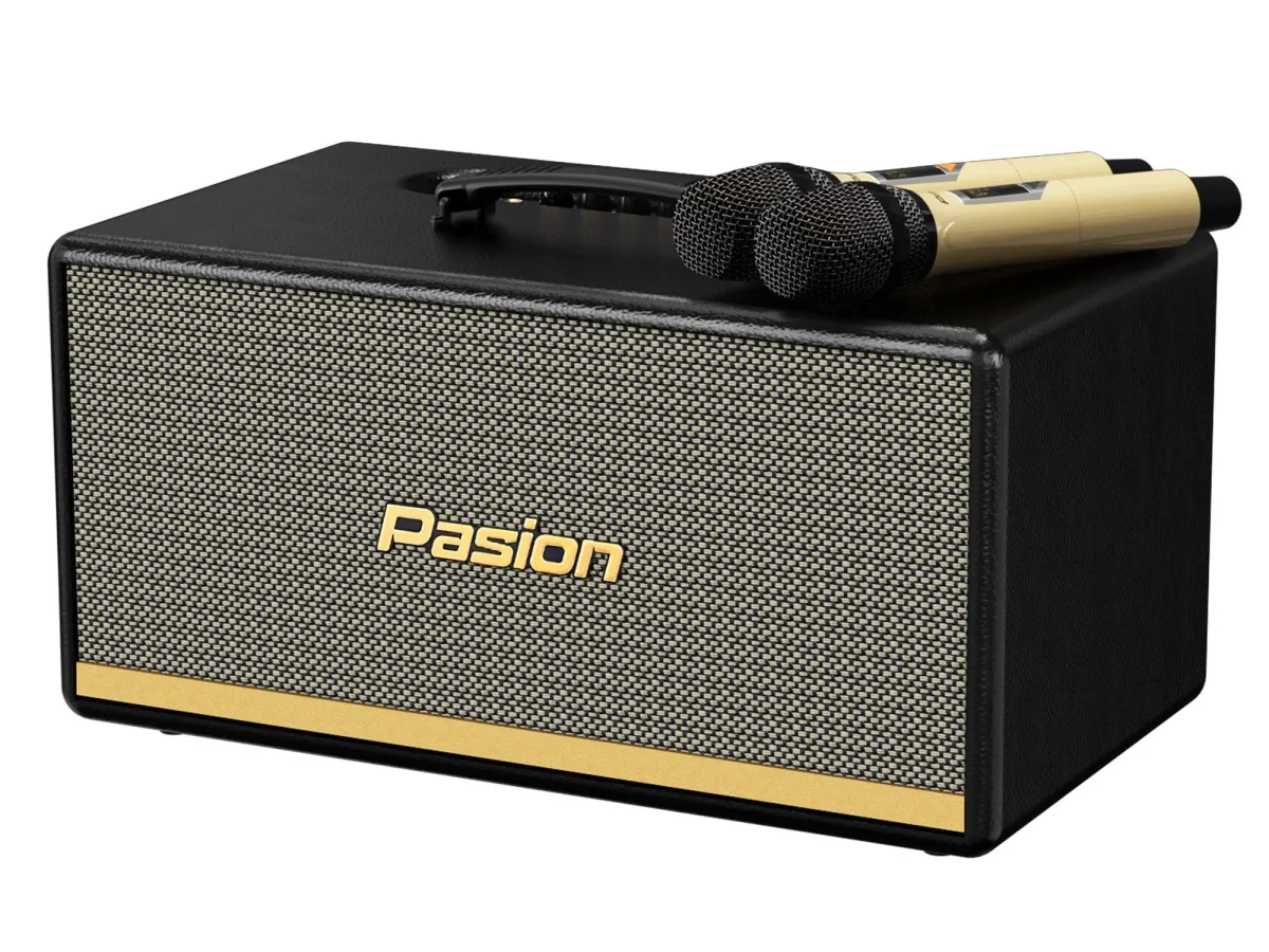 Loa di động Paramax Pasion 2 xách tay