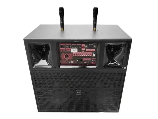Loa Karaoke di động Microtek MTK-660