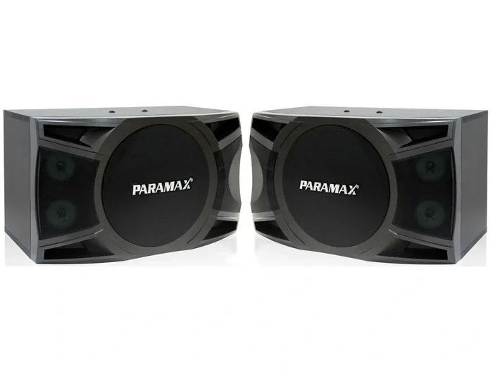 Loa karaoke Paramax P1000