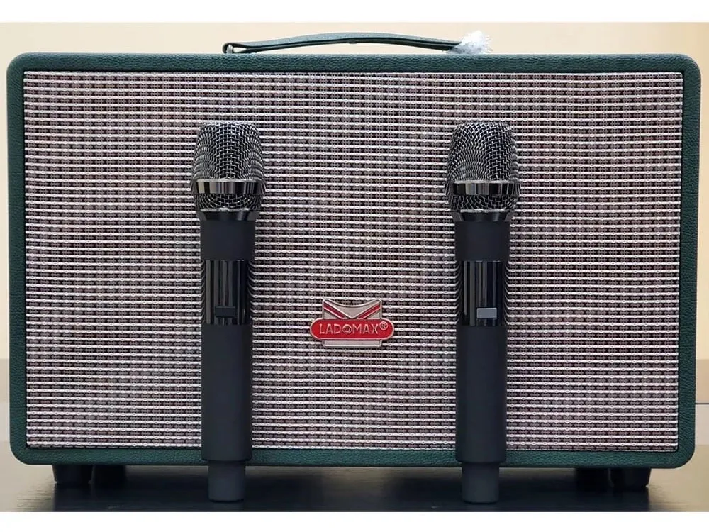 Loa karaoke xách tay cao cấp Ladomax T-216 (Bass đôi 16.5cm)