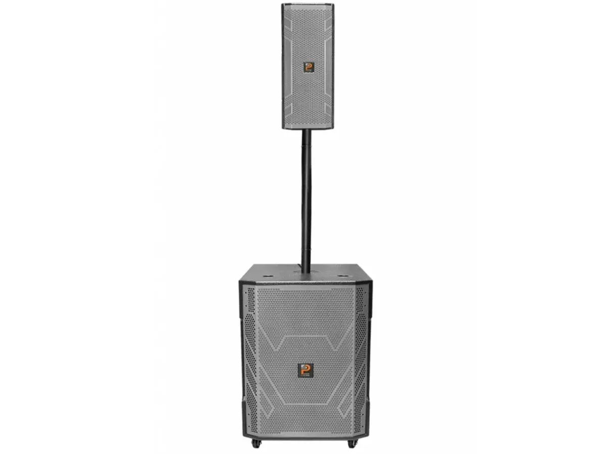 Loa kéo Prosing W15-COT 10 (Bass 40cm, 700W, kèm 2 micro)