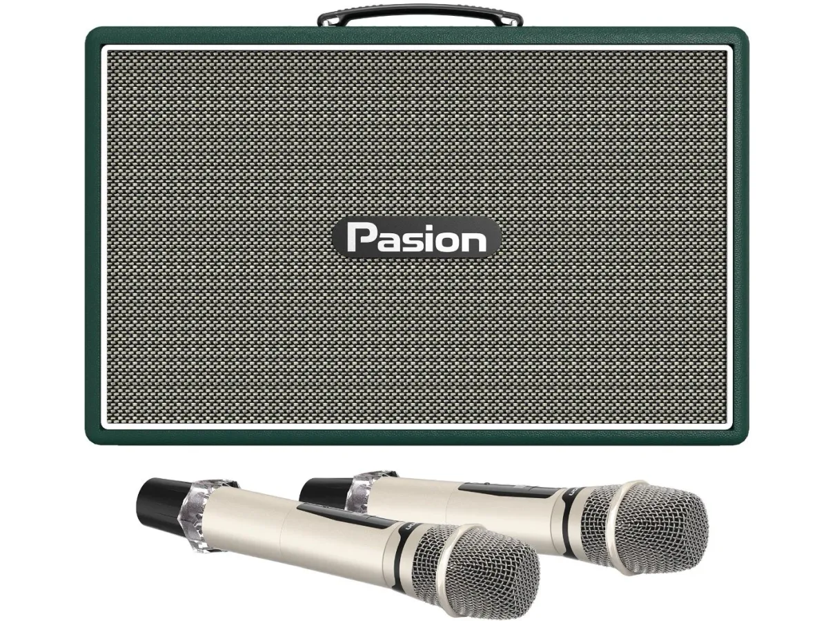 Loa Paramax Pasion Outro (300W, kèm 2 Micro)