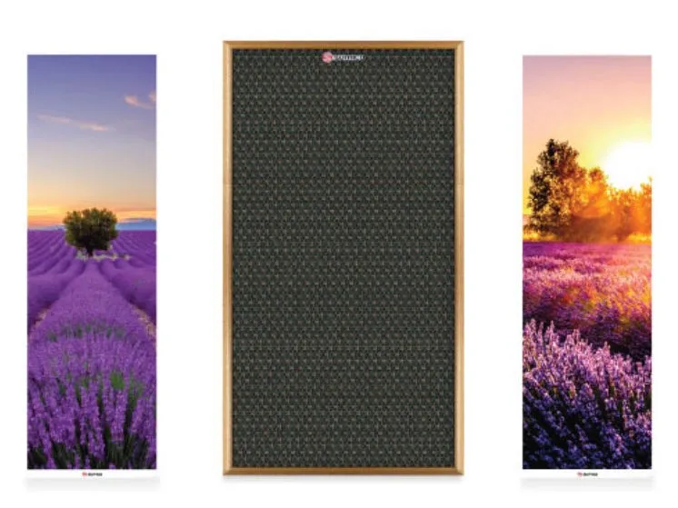 Loa tranh Sumico Canvas 1216