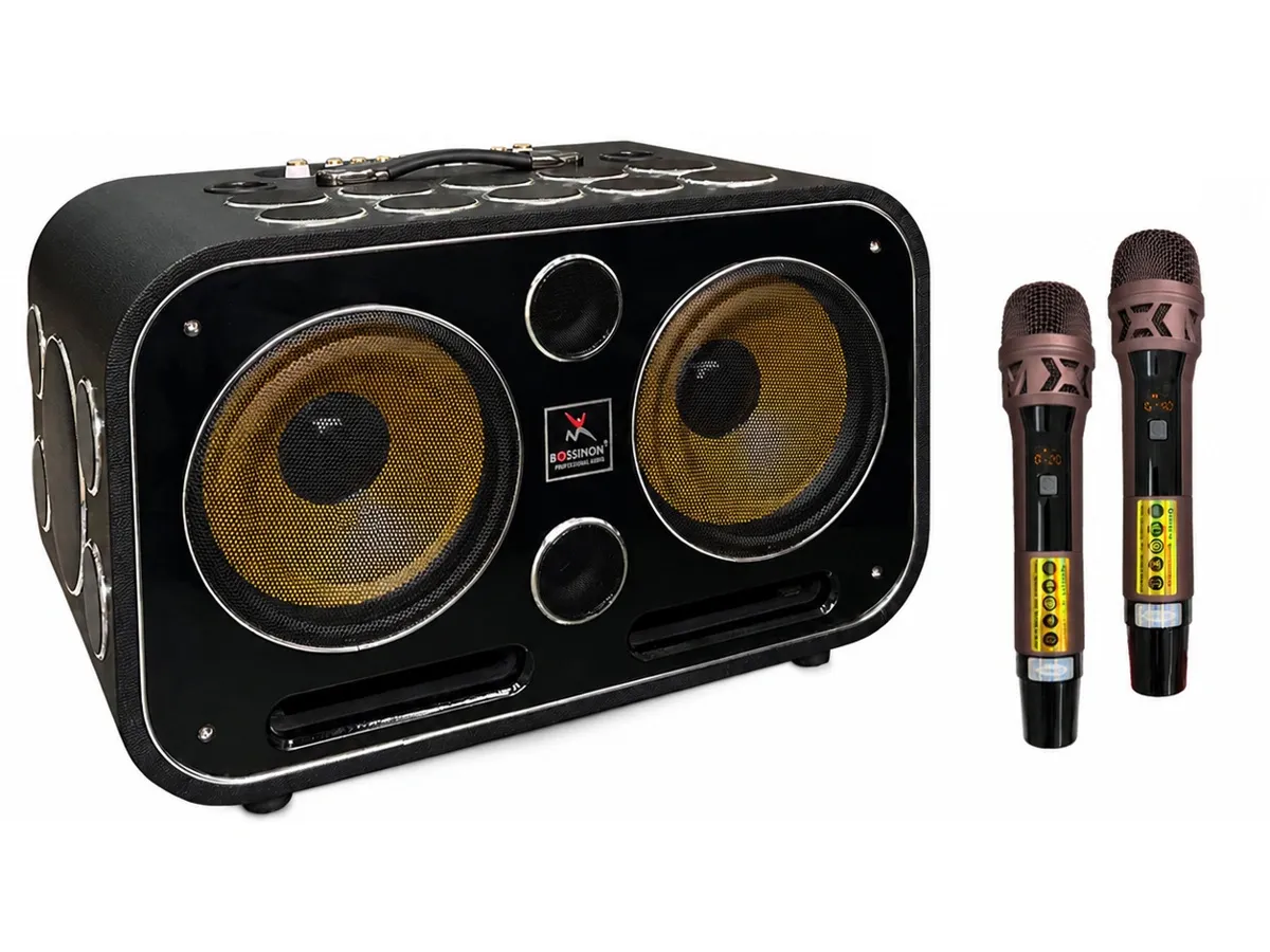 Loa xách tay Bossinon Bass 2T5 N2536K