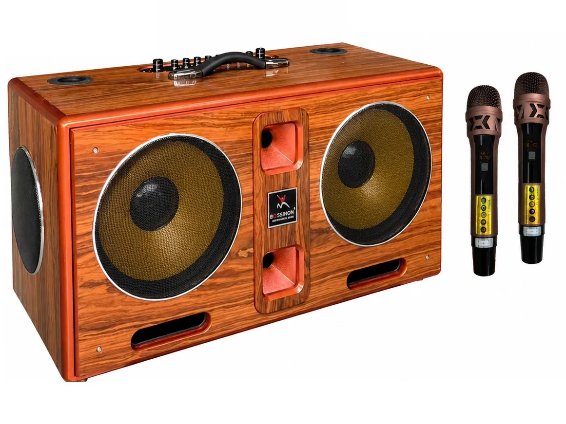 Loa xách tay Bossinon Bass 2T5 N2545K