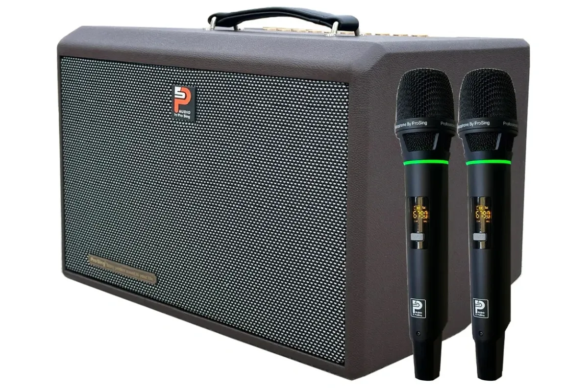 Loa xách tay Prosing DSP-236X (Bass 20cm, Bluetooth 5.0)
