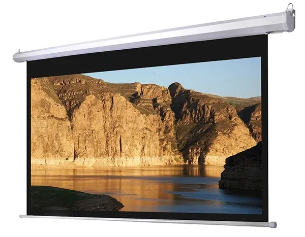 Màn chiếu điện điều khiển từ xa Dalite PW180ES/CN-D180 180 inch