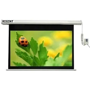 Màn chiếu điều khiển từ xa Regent 70” x 70” CN-SD100 (1m78 x 1m78)