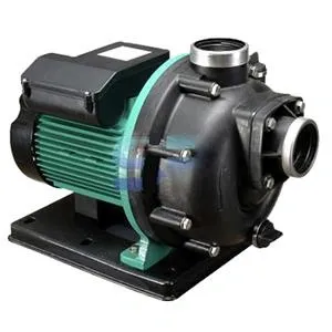 Máy bơm nước biển đầu nhựa Wilo PU-S750G