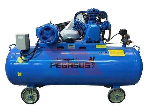 Máy nén khí Pegasus 4HP TM-W-0.36/8-230L (380V)