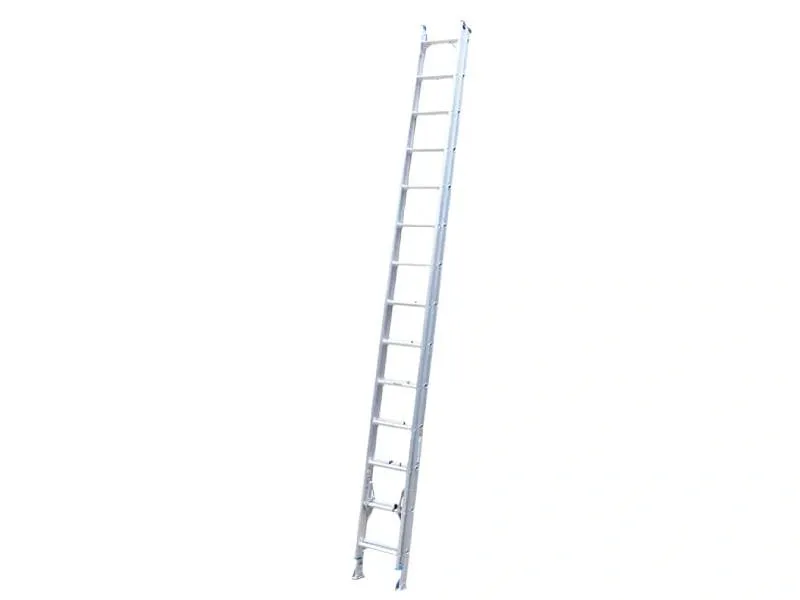 Thang nhôm trượt 2 x 10 bậc Wadfow WLD8H20