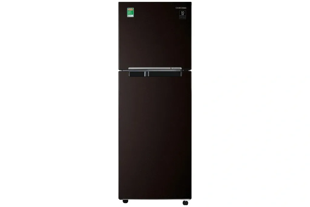 Tủ lạnh Samsung Inverter 236 lít RT22M4032BY/SV (Màu nâu)