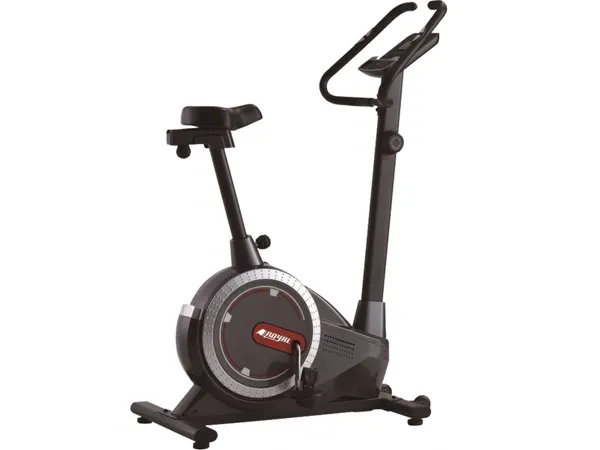Xe đạp tập thể dục cố định Royal 570C